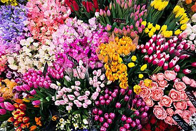 使命召唤19免费周2023什么时候开始？COD19免费周试玩2023时间